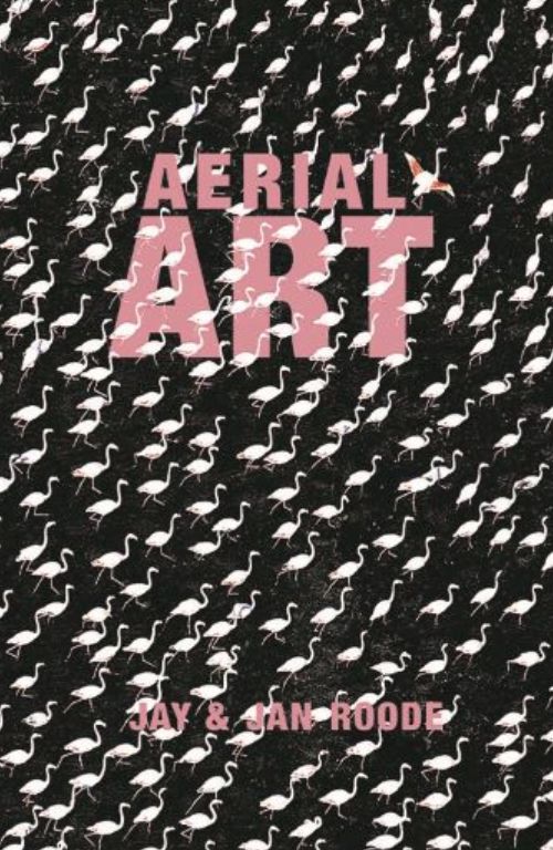 Aerial Art