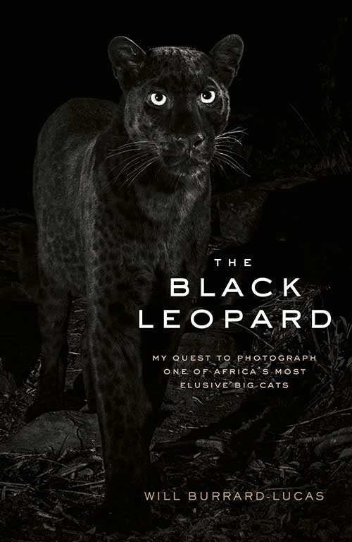 The Black Leopard : My quest to photograph one of Africa’s most elusive big