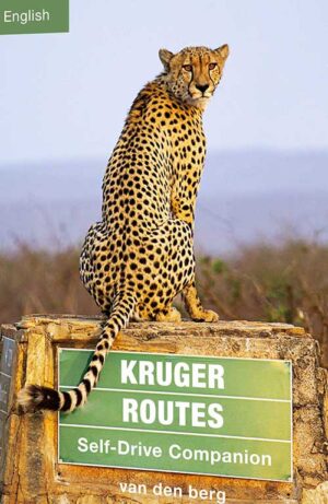Kruger Self-Drive, Routes, Roads and Ratings