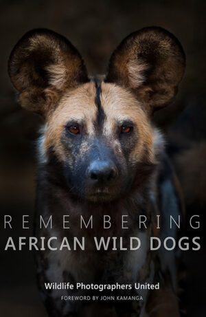 Remembering African Wild Dogs