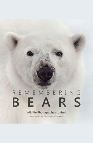 Remembering Bears