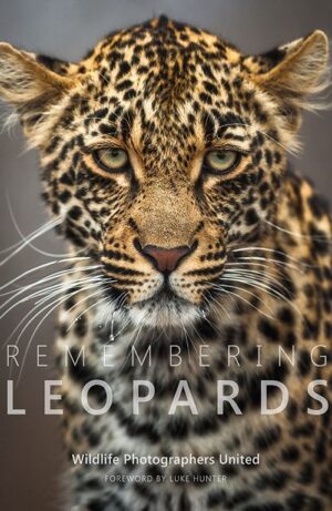 Remembering Leopards