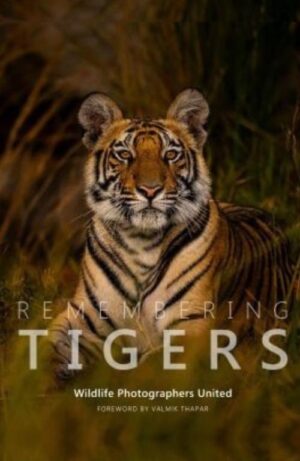Remembering Tigers