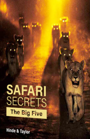 Safari Secrets – The Big Five